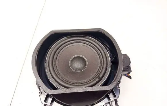 BMW X6 E71 Front door speaker 6513921869703