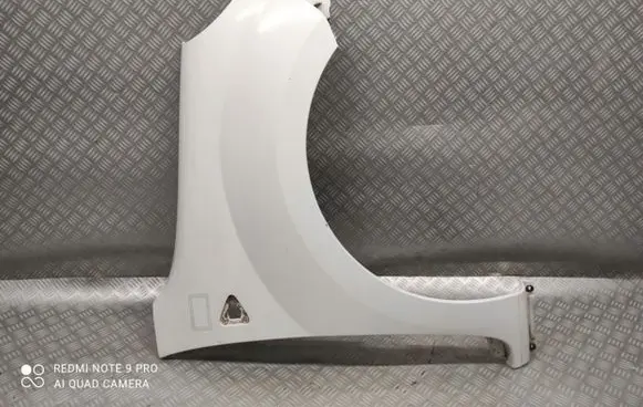 Renault Kangoo II Front wheel arch liner splash guards