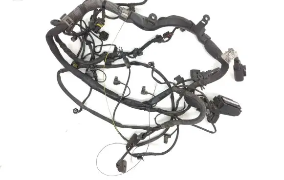 Engine installation wiring loom