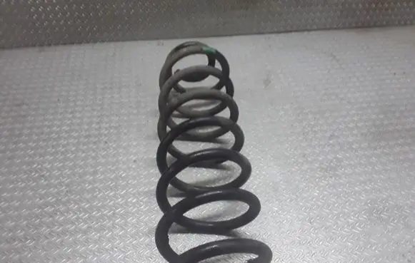 Renault Megane II Rear coil spring