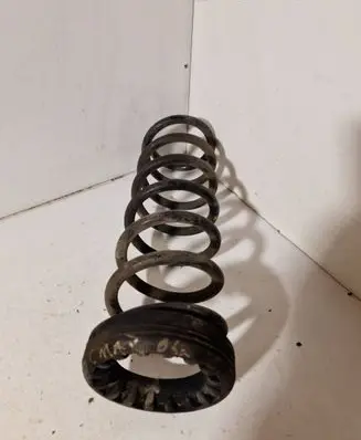 Rear coil spring
