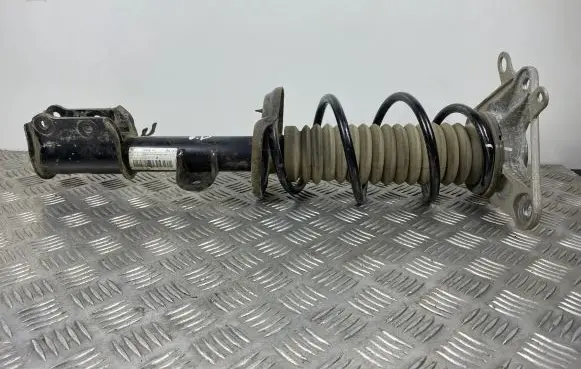 Jeep Renegade Rear shock absorber with coil spring 00521686940