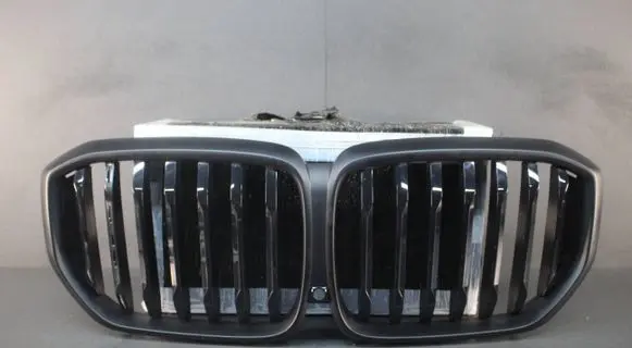 BMW X5M G05 F95 Front grill 21454110