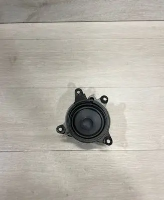 Tesla Model 3 Panel speaker 107974200B 10984402 160621172