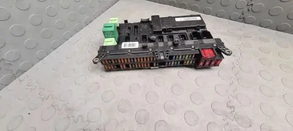 BMW X5 E53 Fuse module 8384525