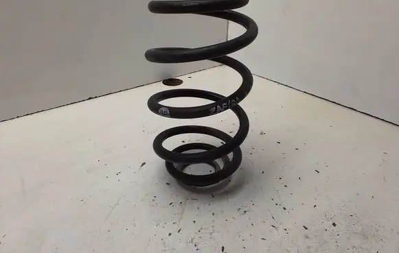 Rear coil spring
