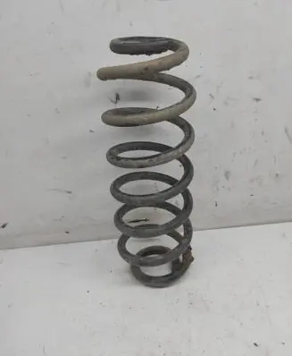 Volkswagen PASSAT B6 Rear coil spring