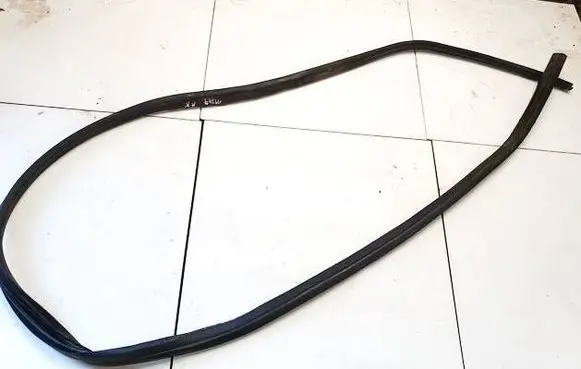Ford C-MAX II Rubber seal front coupe door 