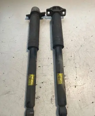 Opel Zafira C Rear shock absorber/damper 13419902 2698 688444822