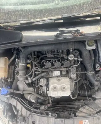 Ford Focus Engine