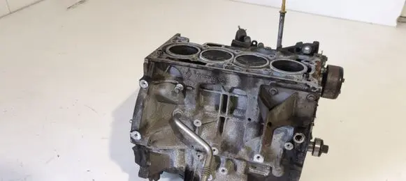 Nissan Juke I F15 Engine block 110112878R