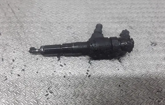 Peugeot 206 Fuel injector 9641496180