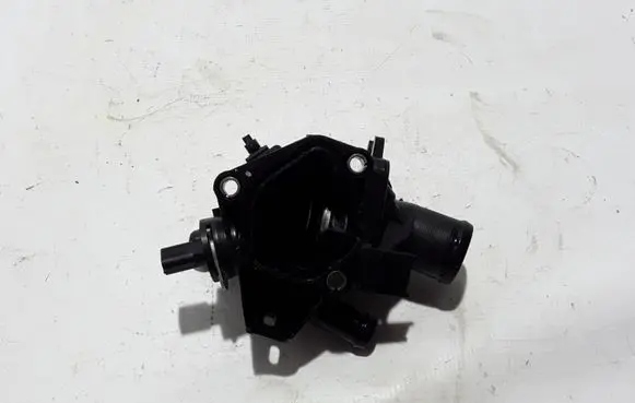 Renault Alaskan Thermostat 110604071R