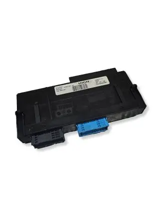 BMW X5 E70 Other control units/modules 919311001