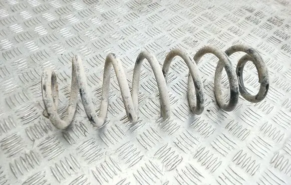 Rear coil spring