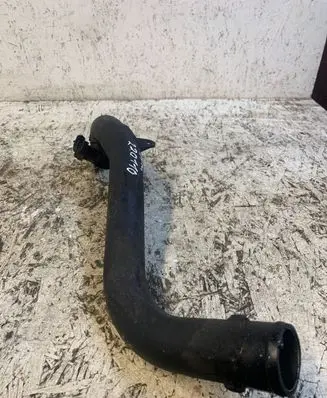 Nissan Juke I F15 Intercooler hose/pipe 144601fe0c
