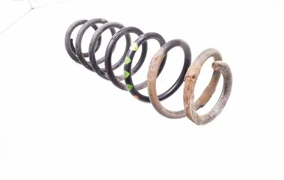 Rear coil spring