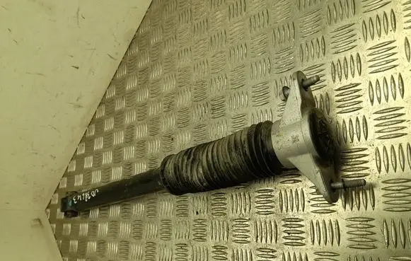 Tesla Model Y Rear shock absorber/damper 218846800C