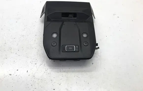 Renault Scenic E-Tech V Headlining lighting console trim 969818639R