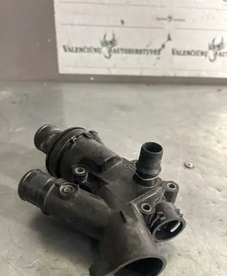 Thermostat/thermostat housing