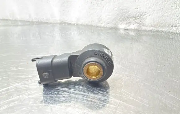 Opel Meriva A Detonation knock sensor 0261231173