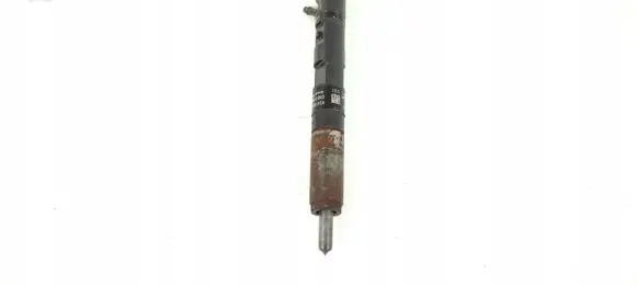 Renault Kangoo I Fuel injector EJBR05101D
