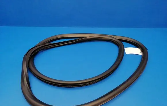 Opel Insignia A Front door rubber seal