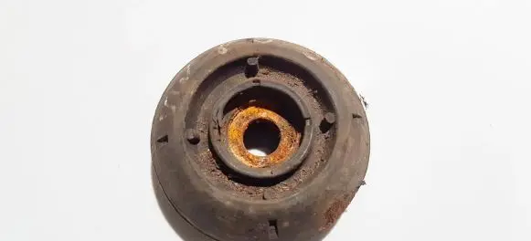 Coil spring mount