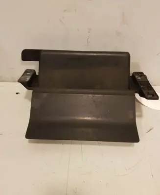 Engine bonnet/hood lock trim molding