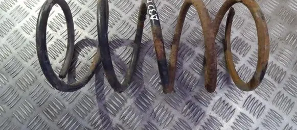 Front coil spring