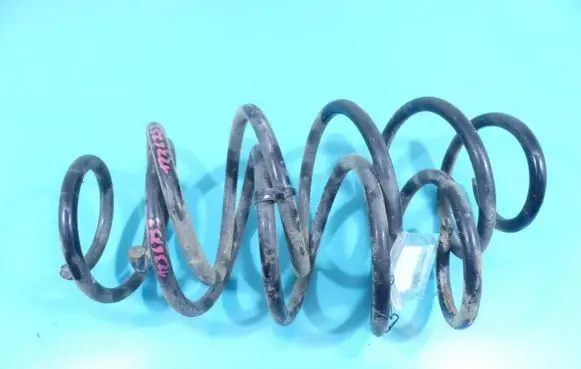 Front coil spring