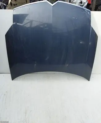 Engine bonnet/hood