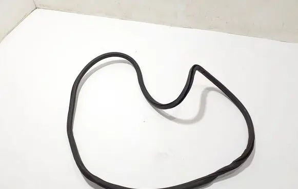 Front door rubber seal