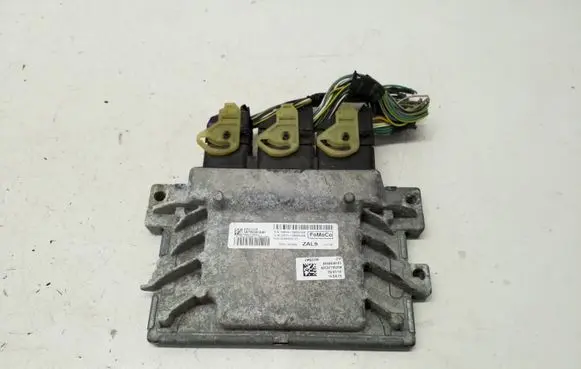Ford C-MAX II Engine control unit/module DM5A12A650AK 5WY8930CAAH