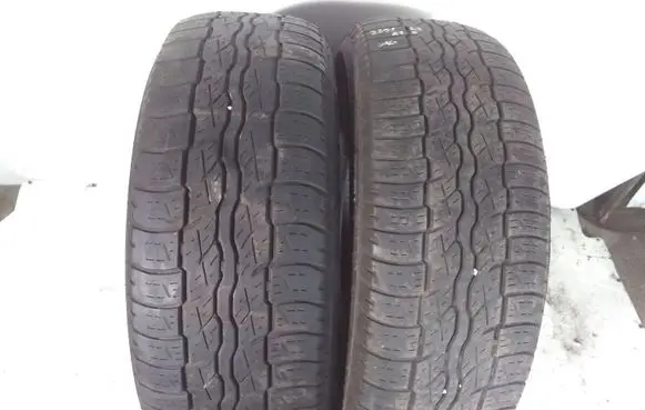 Renault Espace - Grand espace IV R17 summer tire 22565R17 BRIDGESTONE DUELERHT