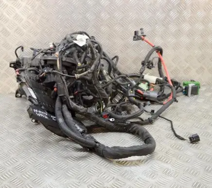 Volvo S90, V90 Other wiring loom 31346673