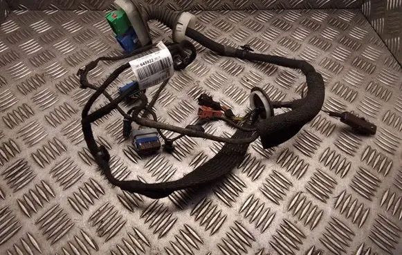 Peugeot 308 Front door wiring loom 9664592280A
