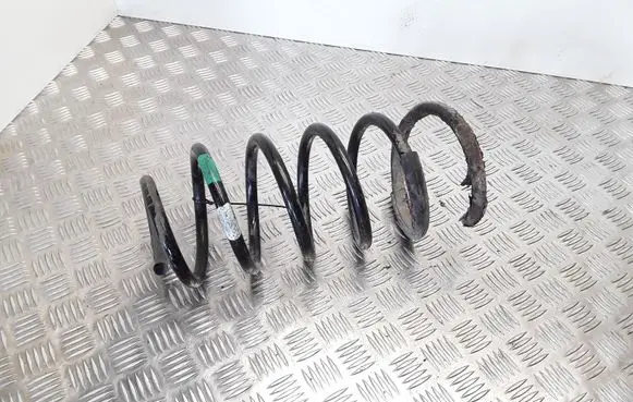 Front coil spring