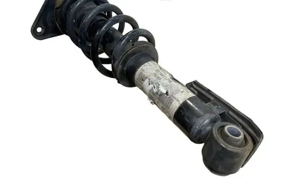 Mini Paceman (R61) Rear shock absorber with coil spring 8227630 0076071718