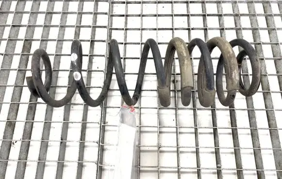 Ford Ecosport Rear coil spring 