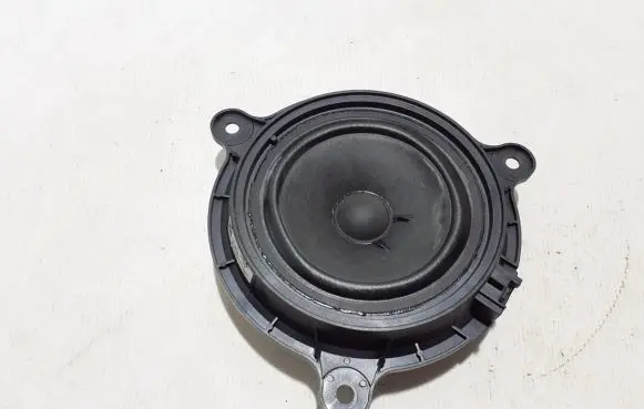 Rear door speaker