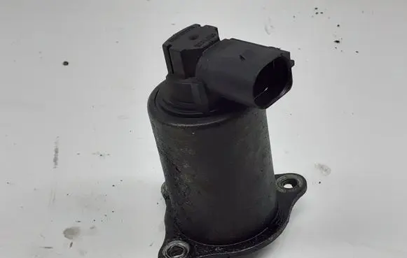 Renault Megane II EGR valve 53389606