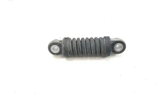 Renault Scenic I Alternator belt tensioner 