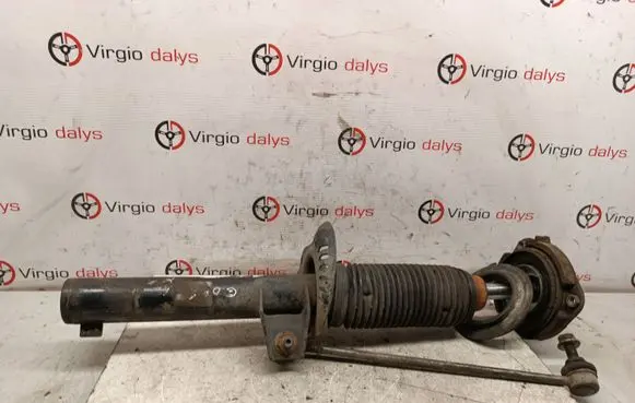 Volkswagen Golf V Front shock absorber/damper 1K0412103B