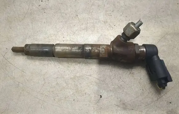 Dacia Duster Fuel injector H8200704191 166008052R