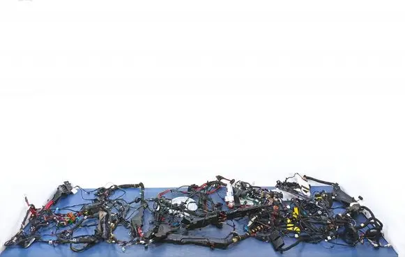 BMW 5 G30 G31 G38 Other wiring loom 9350313