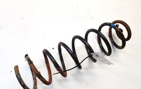 Rear coil spring