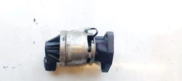 EGR valve