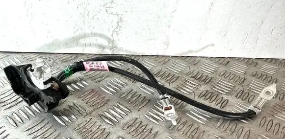 Negative earth cable (battery)