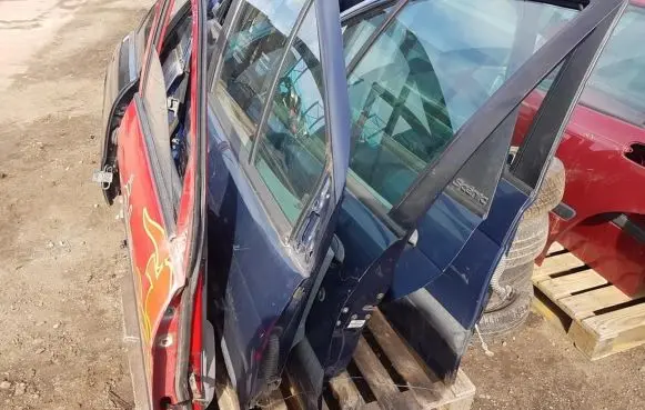 Renault Scenic I Front door melynos